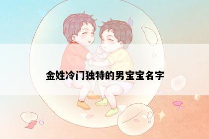 金姓冷门独特的男宝宝名字