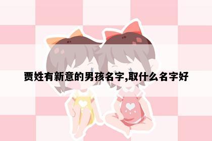 贾姓有新意的男孩名字,取什么名字好
