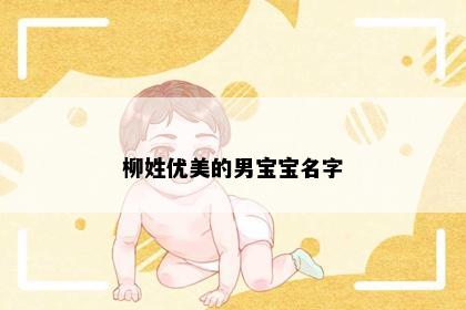 柳姓优美的男宝宝名字