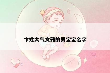 卞姓大气文雅的男宝宝名字