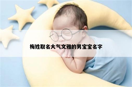梅姓取名大气文雅的男宝宝名字