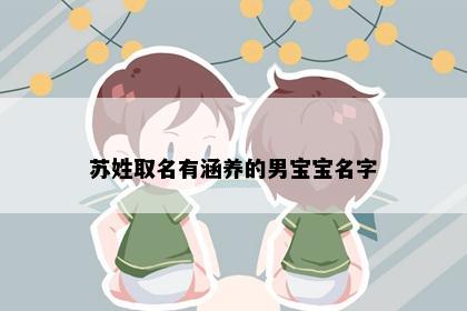 苏姓取名有涵养的男宝宝名字
